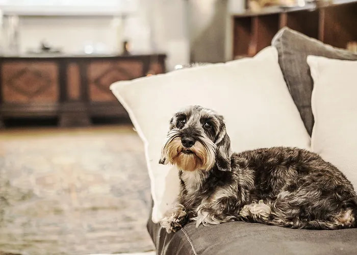 Affittacamere Studi - Collection