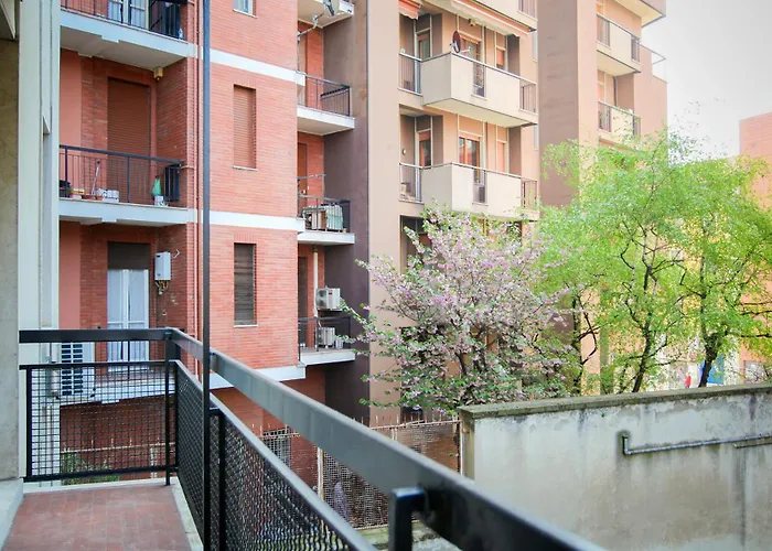 Hacca Collection - Bocconi Blue House