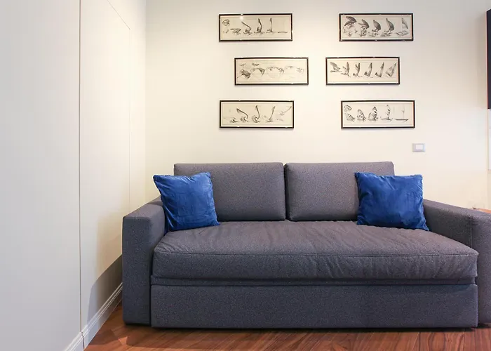 Hacca Collection - Bocconi Blue House