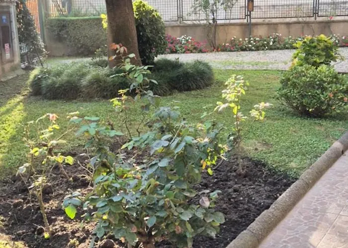 Memories - Isola Daire Milano