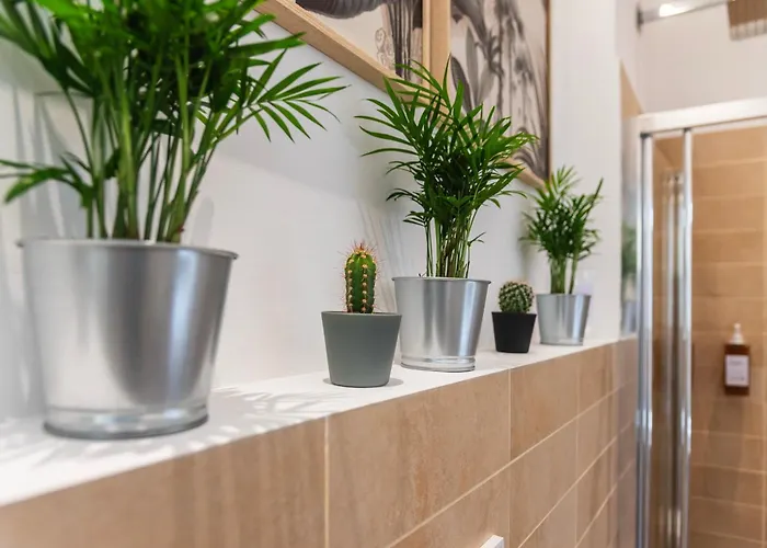 Ds - Centro Appartamento