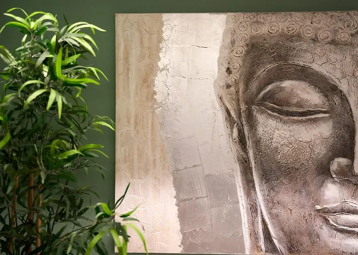 Ca' San Cristoforo & 招待所