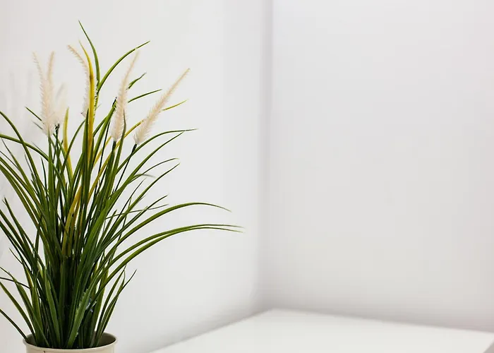 Meraviglioso Nel Centro Di Apartment *