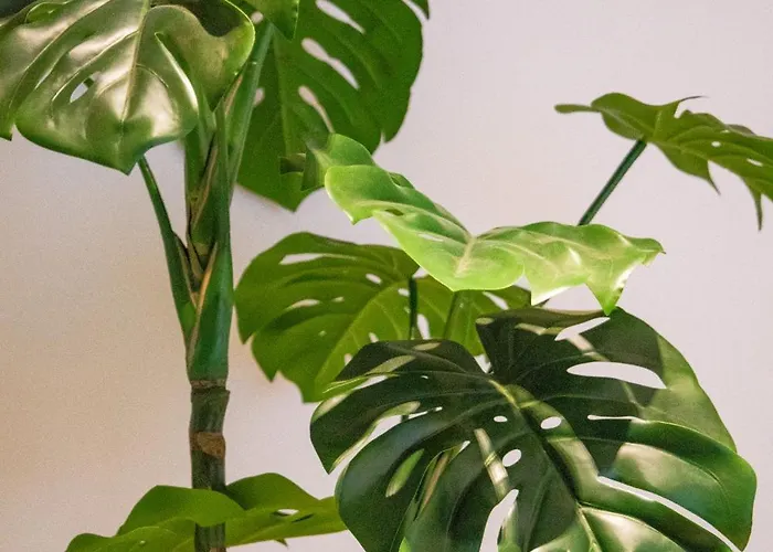 Navigli - Leobrothers - Alzaia Naviglio Pavese 8 3*