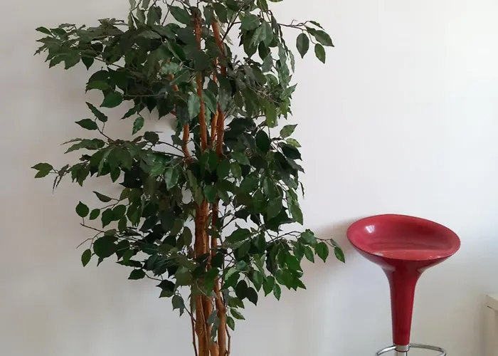 Martesana 4 * Milano