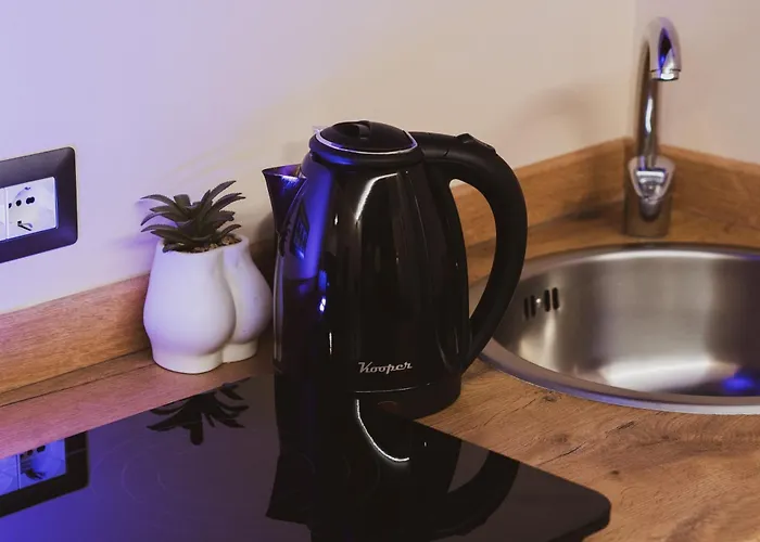 Corso Buenos Aires Apartment Milan