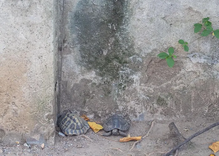 Liberty - Metro M4 A 3min - Duomo - Linate A 5min * Milano