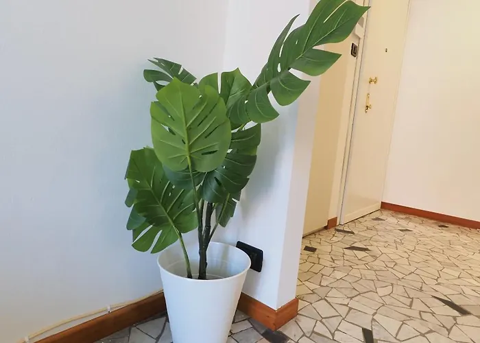 Primopiano - Corsica Апартаменты *