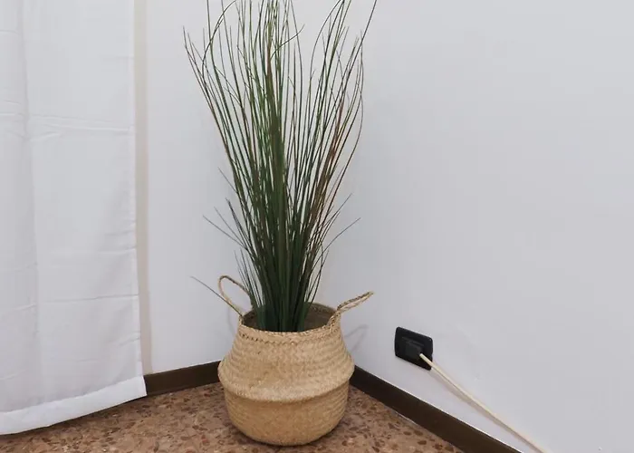 Апартаменты Primopiano - Corsica