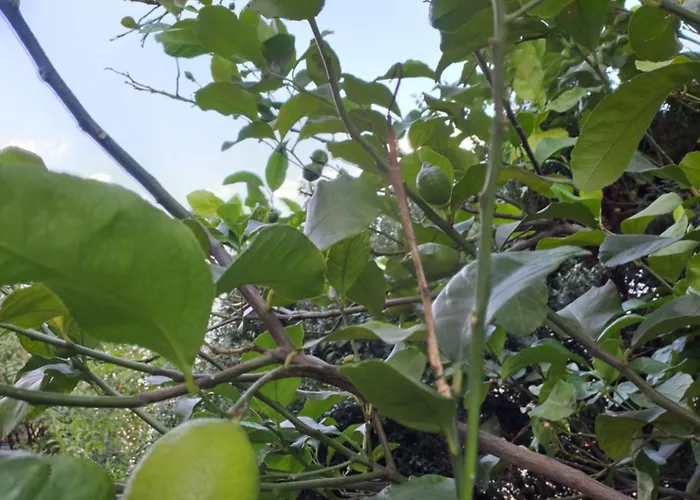 Apartman Il Giardino Dell'artista Stylish A Milánó