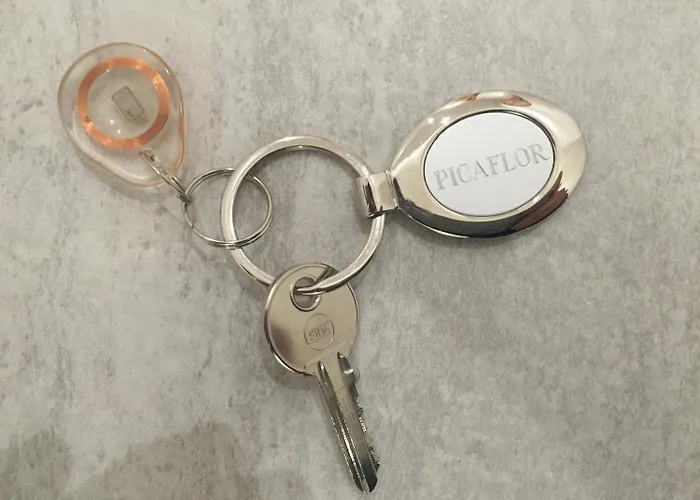 בית הארחה Picaflor Art &