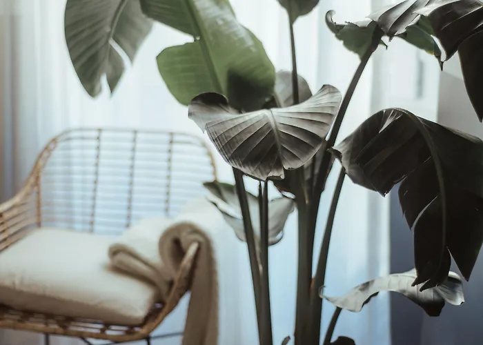 Pensión Ca Bela - Porta Romana 3*