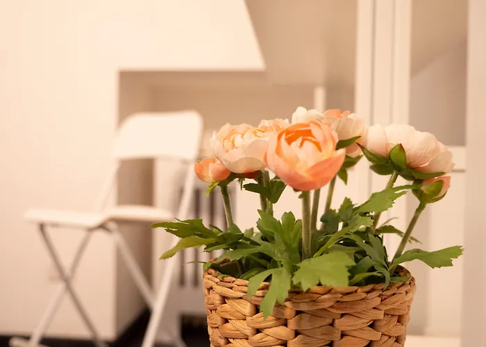 招待所 Blocco Sauli 4*