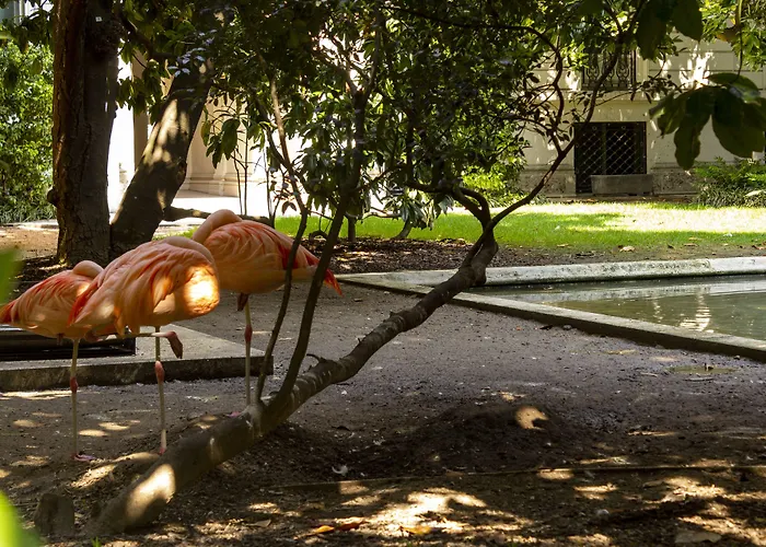 L'ottava 4* מילאנו