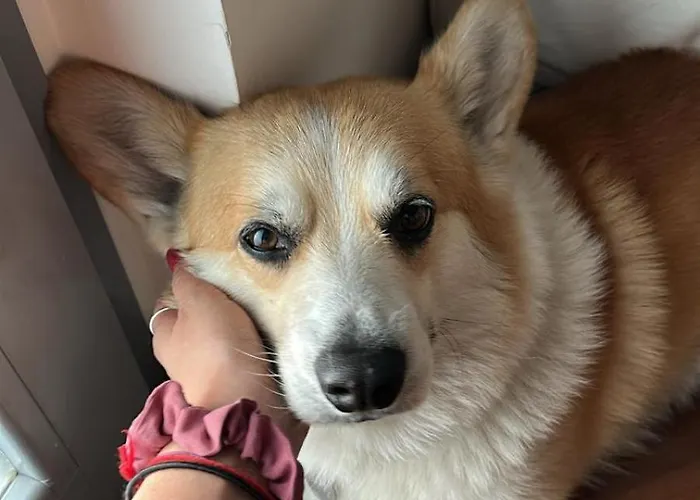 Casa Di Chloe - A Pochi Passi Dai Navigli Bocconi-naba-iulm -raggiungile Il Duomo A Piedi