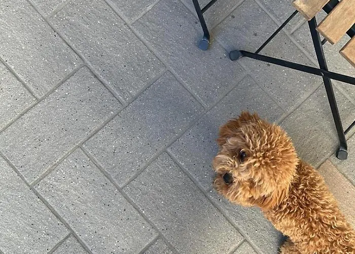 Casa Di Chloe - A Pochi Passi Dai Navigli Bocconi-naba-iulm -raggiungile Il Duomo A Piedi Apartment Mailand