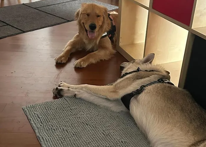 Daire Casa Di Chloe - A Pochi Passi Dai Navigli Bocconi-naba-iulm -raggiungile Il Duomo A Piedi *