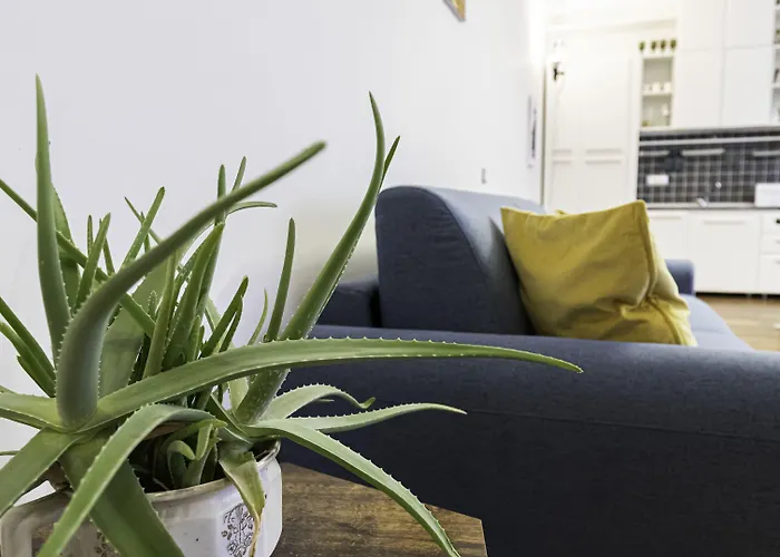 Italianway Easy - Piceno 44 *