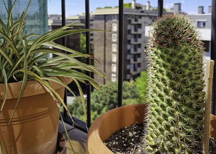 Apartamento Italianway Easy - Voghera 11 A