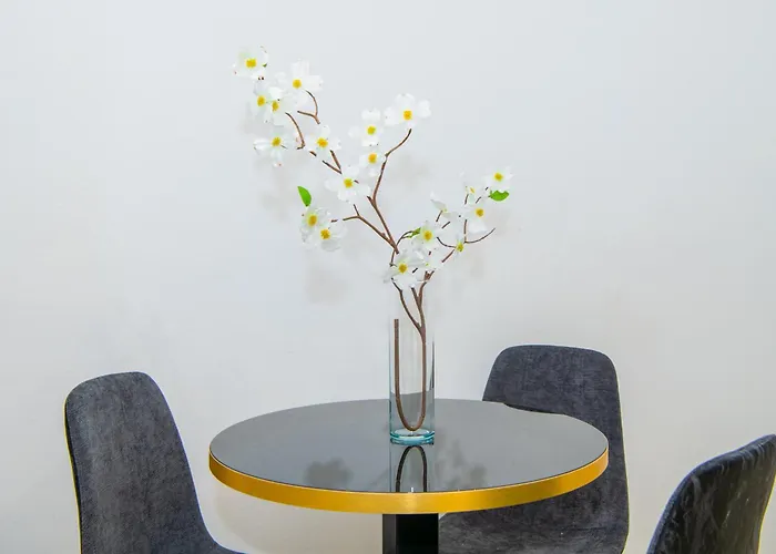 Doria 56