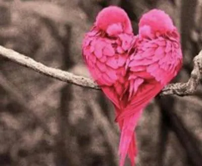 Romantic Flat Navigli Darsena