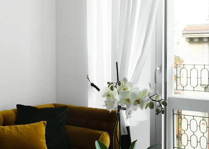 Joivy Boutique Farneti Milan