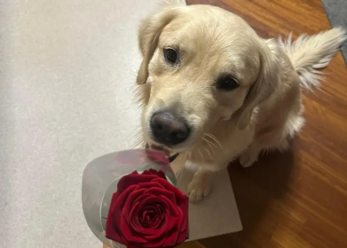 Apartment Casa Di Chloe - A Pochi Passi Dai Navigli Bocconi-naba-iulm -raggiungile Il Duomo A Piedi Mailand