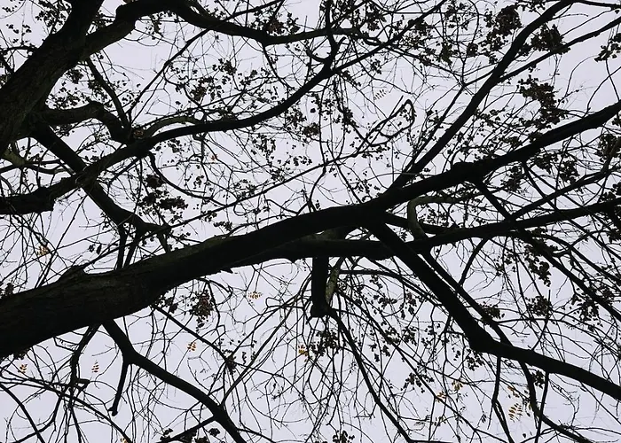 شقة Luxury - Zen Urban Retreat *