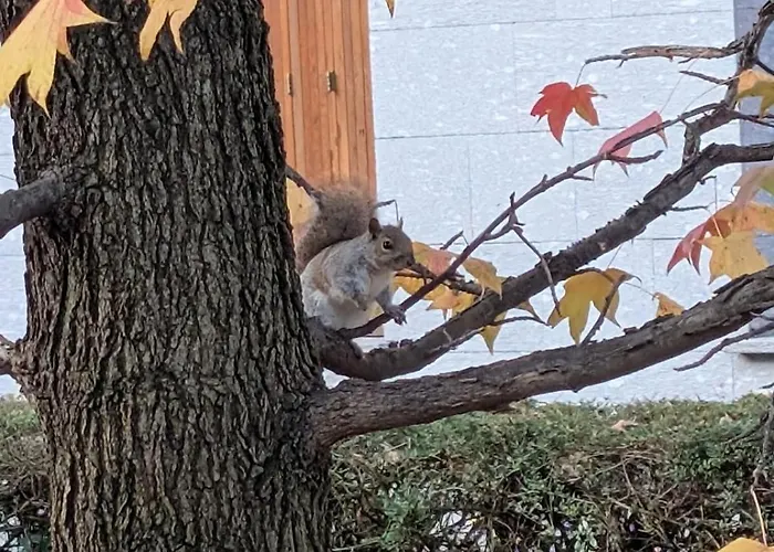 Luxury - Zen Urban Retreat شقة *