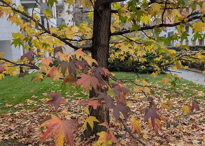 شقة Luxury - Zen Urban Retreat ميلان