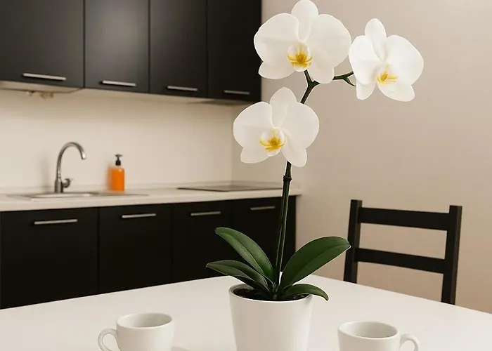 Modern In Milan, Isola Area *