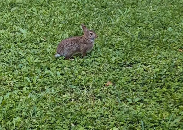 Luxury - Zen Urban Retreat *