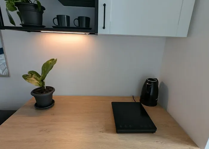 Luxury - Zen Urban Retreat Apartmán *