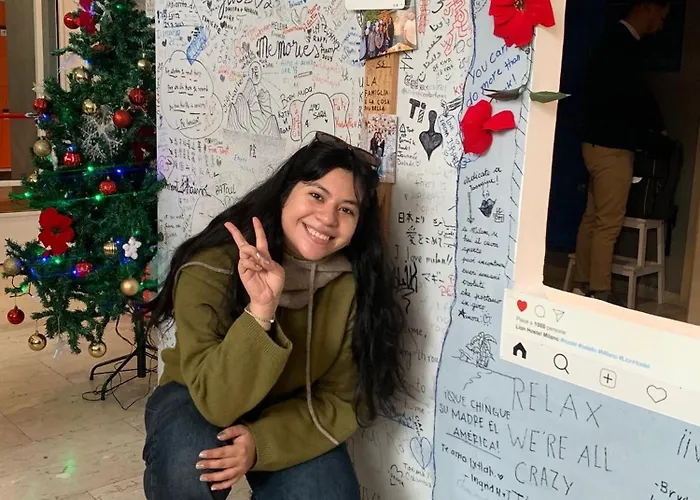 Lion & Youth Hostel *