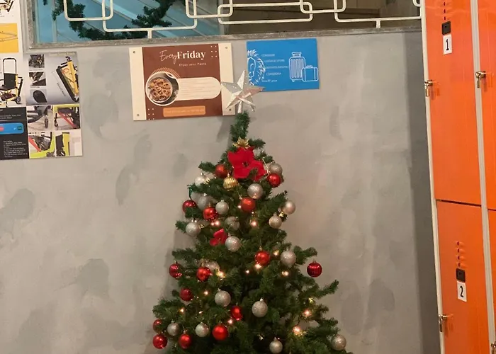 Hostel Lion & Youth *