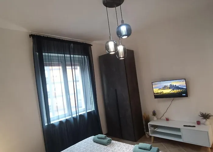 2-room With Balcony Milão