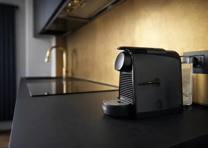 公寓 Maison Laurent *