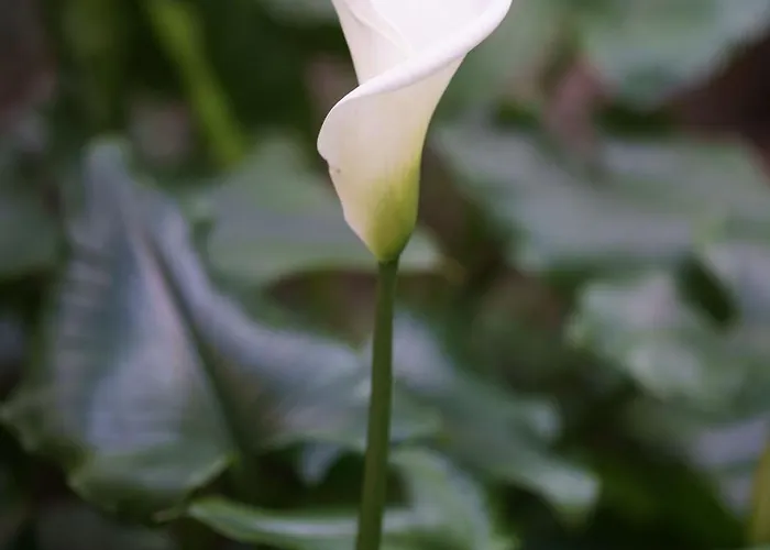 Appartamento Modern Two-room Via Lambrate, 13 - Mirable Pm *