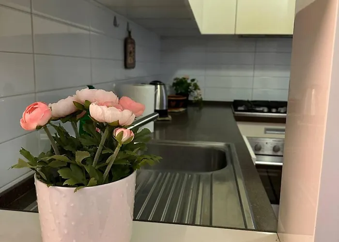 Centro Garibaldi M2 *