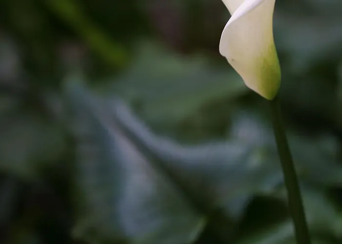 Modern Two-room Via Lambrate, 13 - Mirable Pm