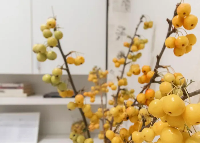 Italianway Easy - Melzo 24 Apartment