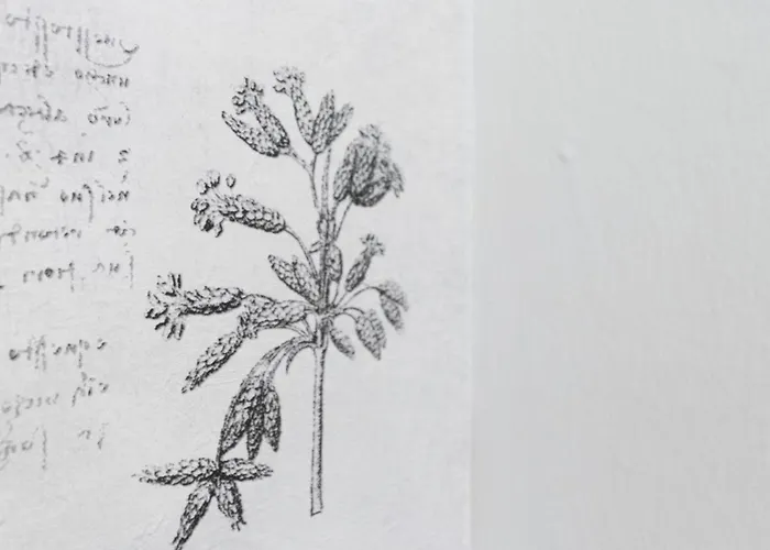 Apartment Italianway Easy - Melzo 24