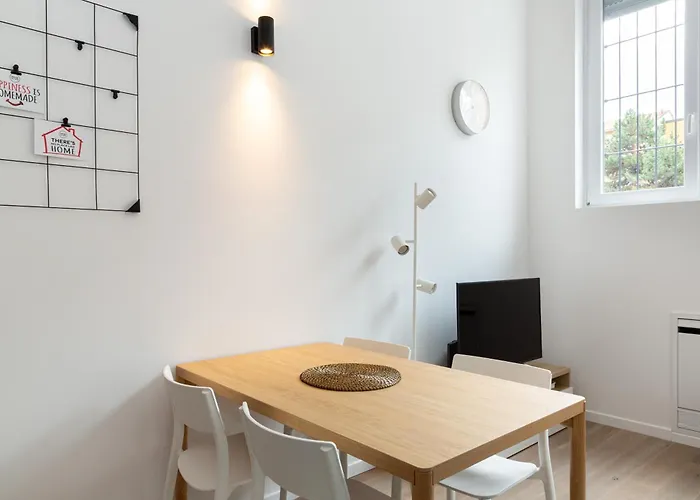 Joivy Solari Tolstoj