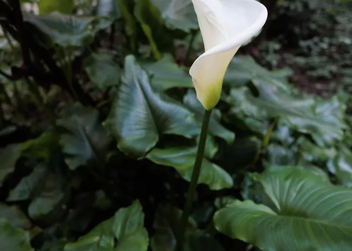 Appartamento Modern Two-room Via Lambrate, 13 - Mirable Pm Milano