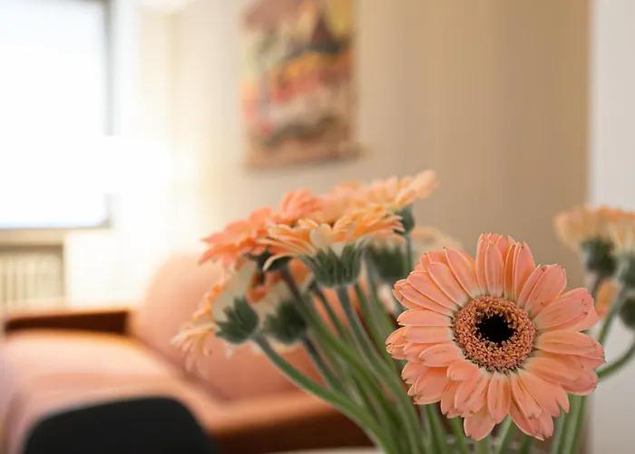 Italianway Comfort - Bergamo 11 A