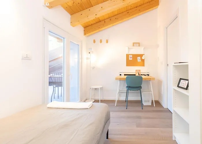 Joivy Solari Tolstoj