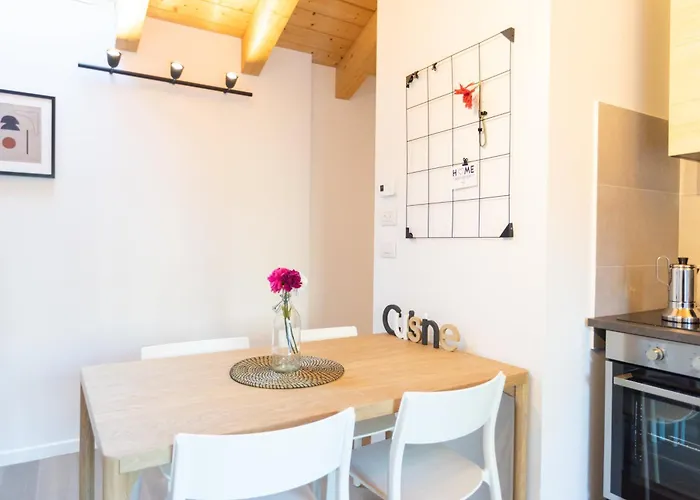 Joivy Solari Tolstoj