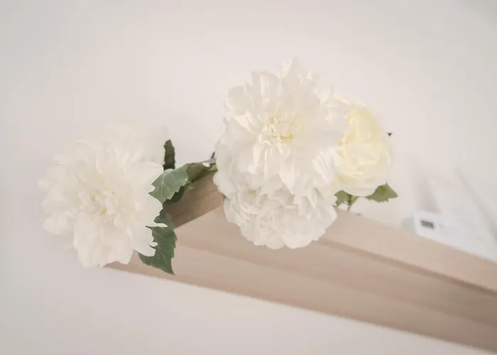 Niky Stadio San Siro מילאנו