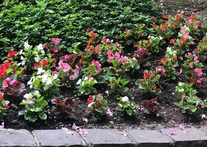 Bwr - Near Mico, Alberti Milan