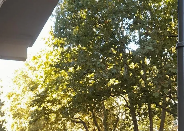 Nocleg ze śniadaniem Sole Fiori Mediolan